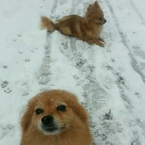 Meet your Posher, Elijah